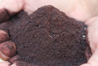 Using Natural Fertilizers on the Homestead